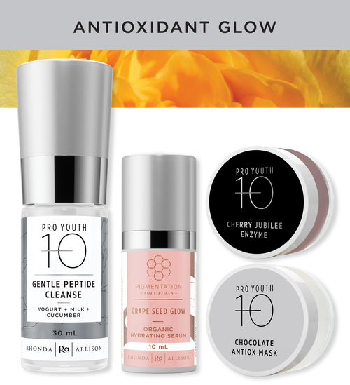 Rhonda Allison Antioxidant Glow Facial